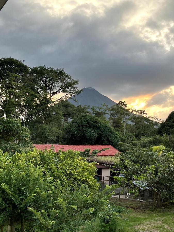 Arenal Sloth Hostel La Fortuna Εξωτερικό φωτογραφία